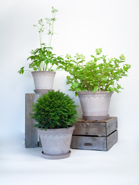 Soto White - Shade - 3/Set
